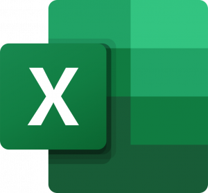 MS excel icon