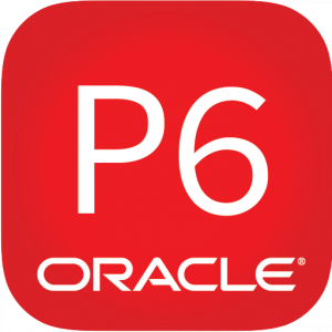 Primavera P6 Icon